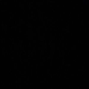 Meet your Posher, Monee